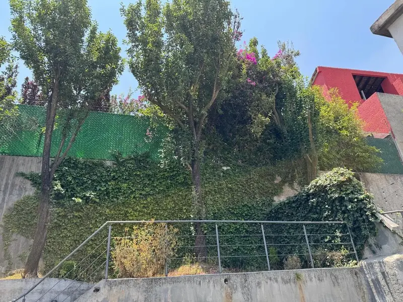 Foto 12