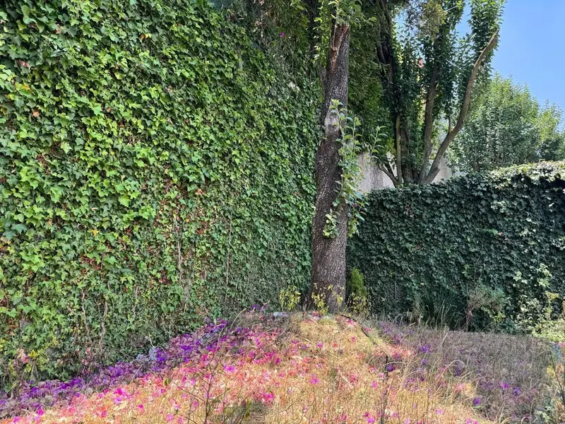 Foto 11