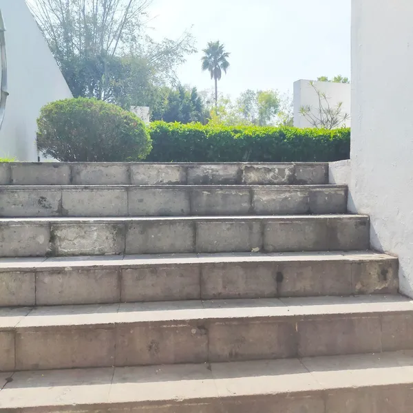 Casa en venta · Jardines del Pedregal, Álvaro Obregón, Ciudad de México Casa en venta · Jardines del Pedregal, Álvaro Obregón, Ciudad de México