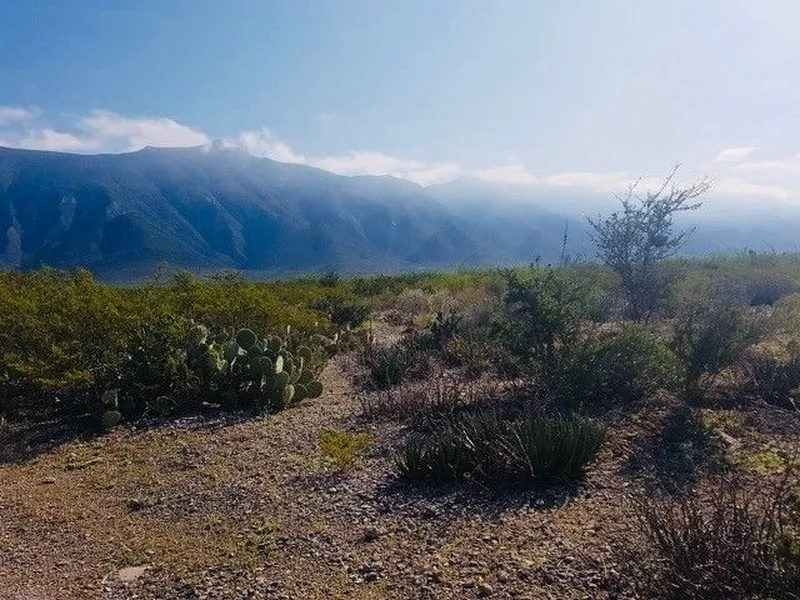 Lote en venta · El Valladito, Bustamante, Nuevo León