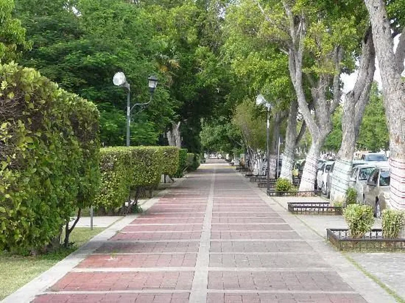 Foto 4