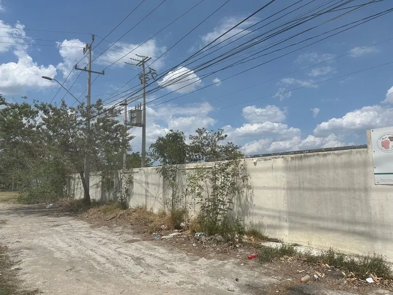 Foto 10