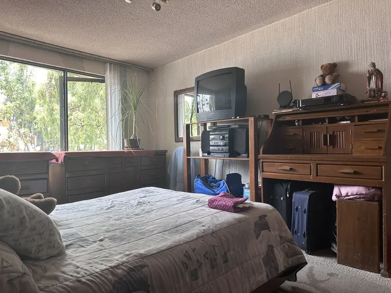 Foto 19