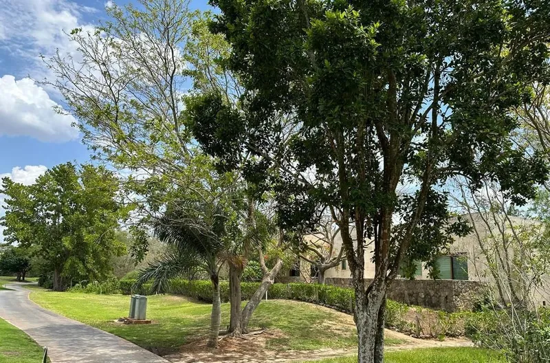 Lote en venta · Chablekal, Mérida, Yucatán