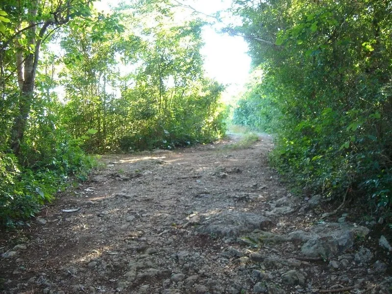 Foto 3