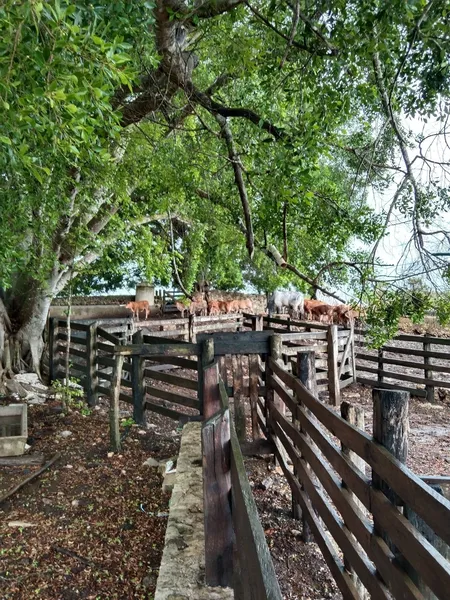 Foto 8