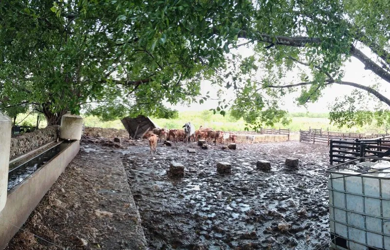 Foto 6