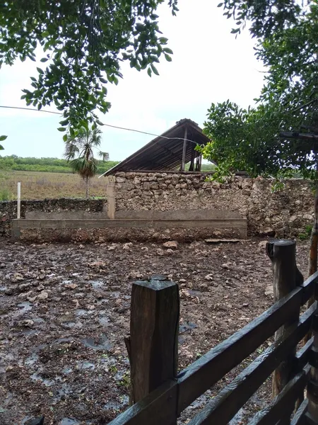 Foto 10