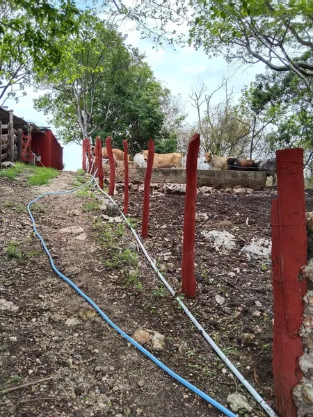 Foto 15