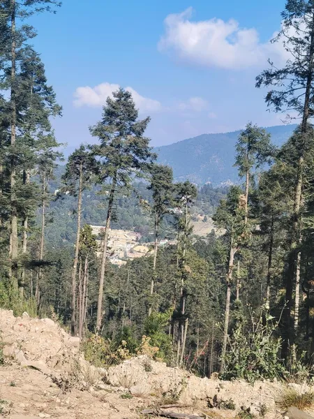 Foto 15