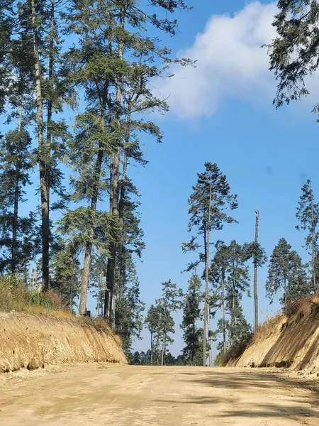 Foto 19