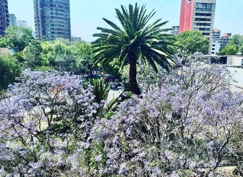 Departamento en venta · Polanco, Miguel Hidalgo, Ciudad de México