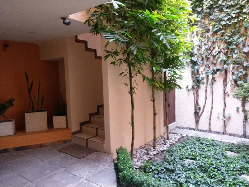 Foto 7