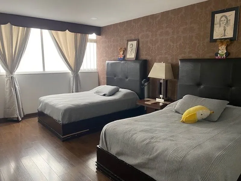 Foto 19