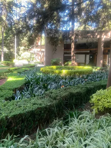 Departamento en venta · Jardines del Pedregal, Álvaro Obregón, Ciudad de México