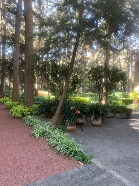 Foto 13