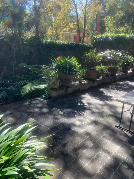 Foto 16