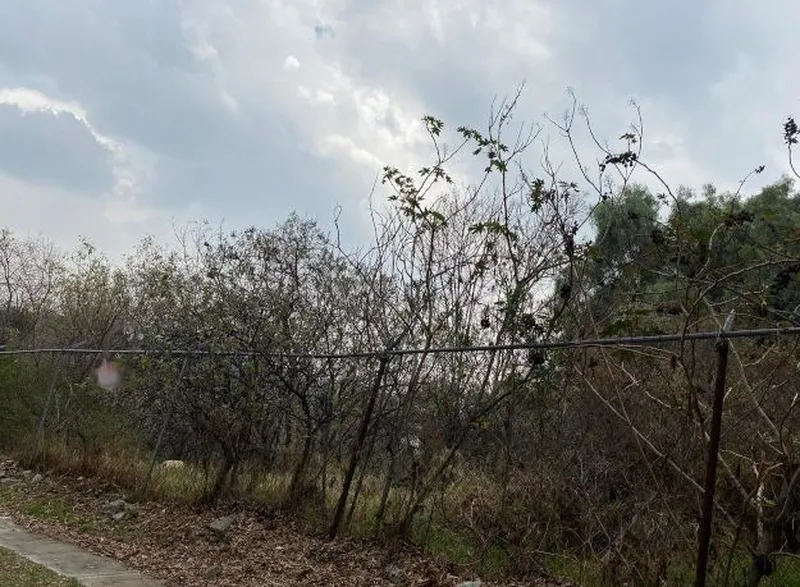 Lote en venta · La Herradura, Huixquilucan, Estado de México
