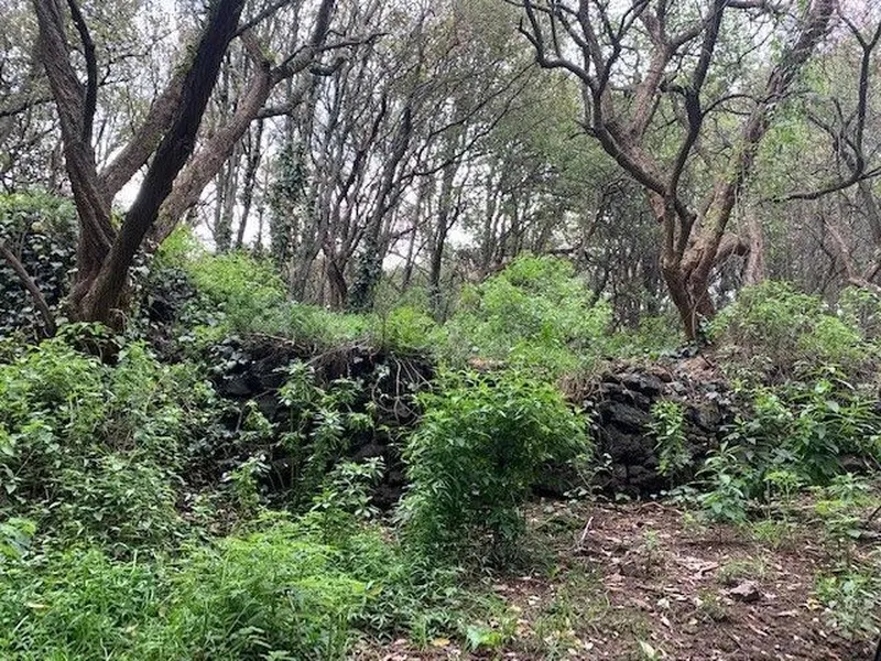 Lote en venta · Tlalpuente, Tlalpan, Ciudad de México