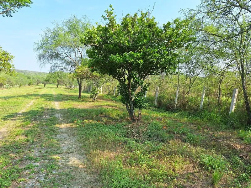 Foto 3