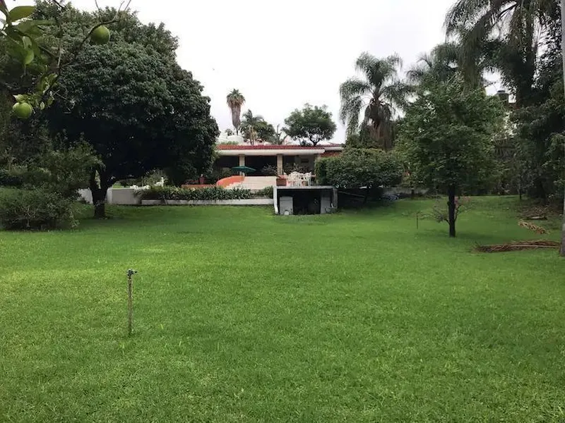 Foto 19