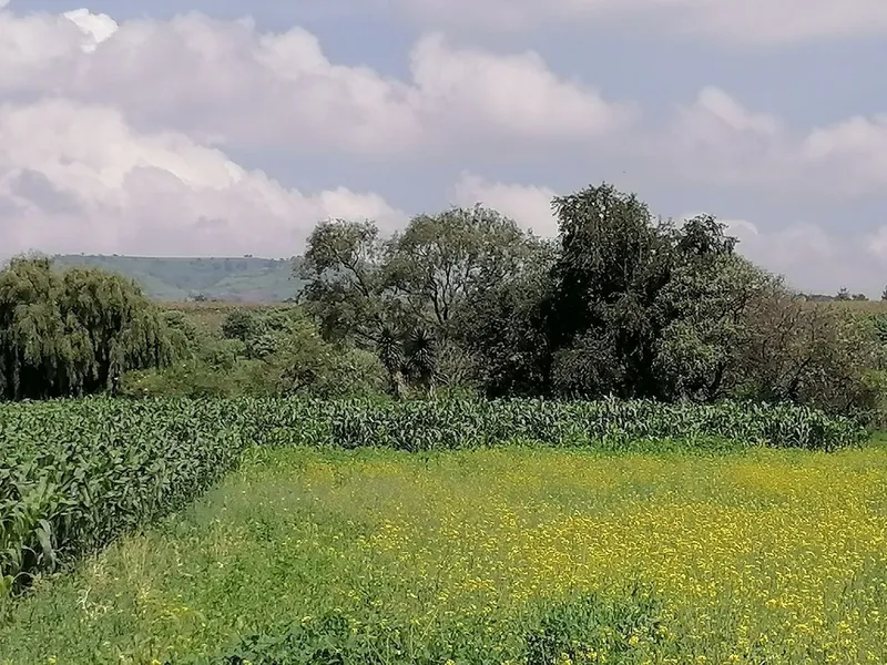 Lote en venta · San Miguel Zacango, Toluca, Estado de México