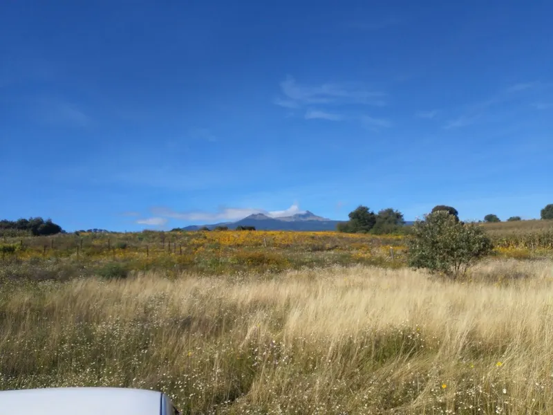 Lote en venta · San Miguel Zacango, Toluca, Estado de México