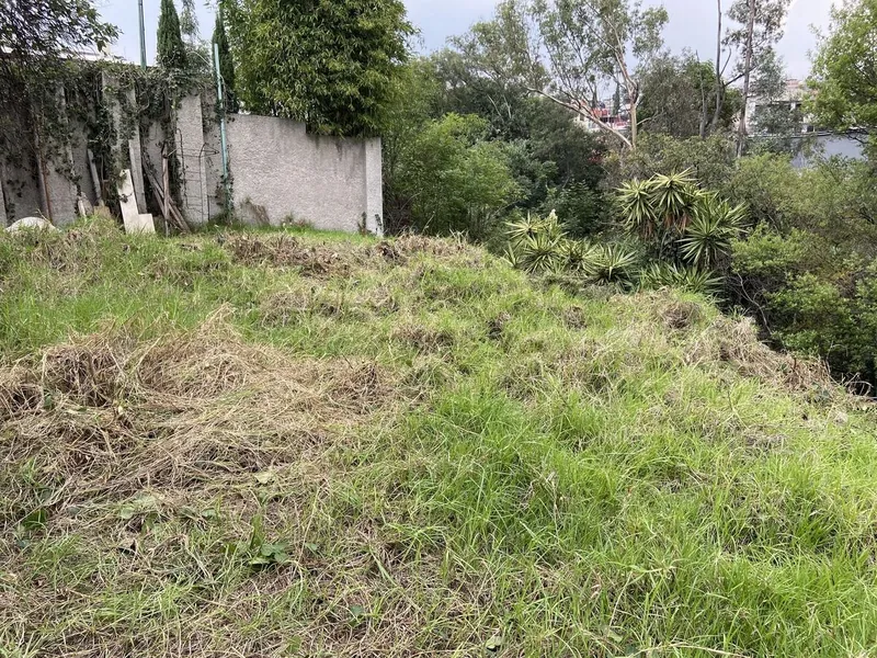 Foto 6