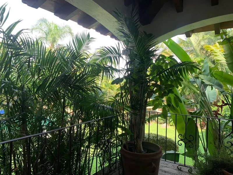 Foto 41