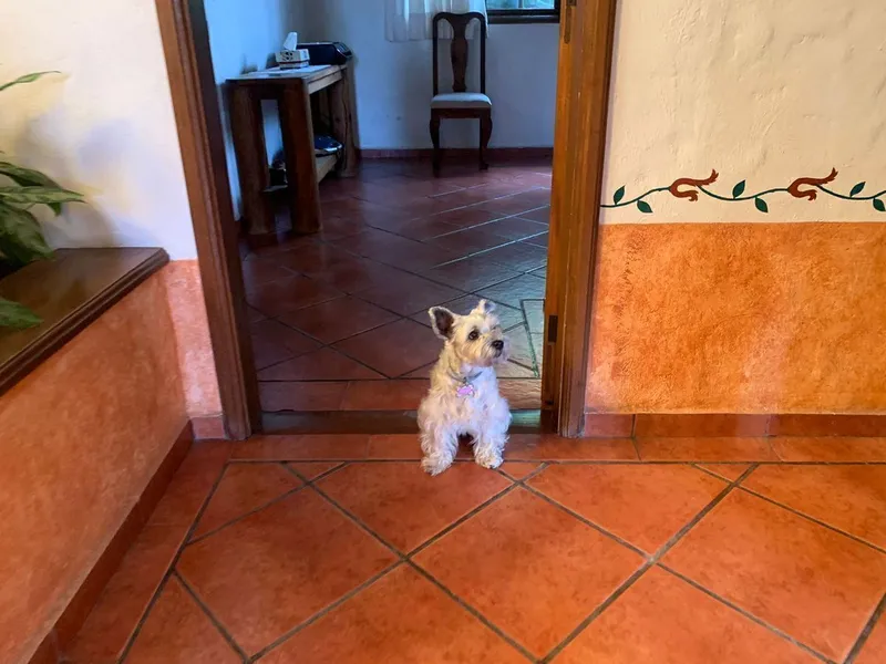 Foto 16