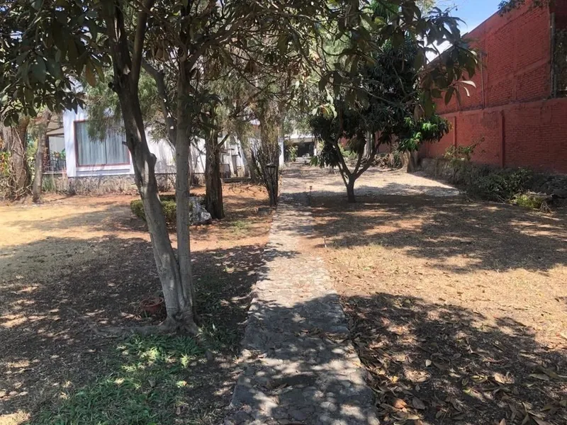 Foto 19