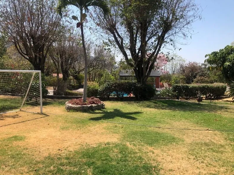 Foto 11