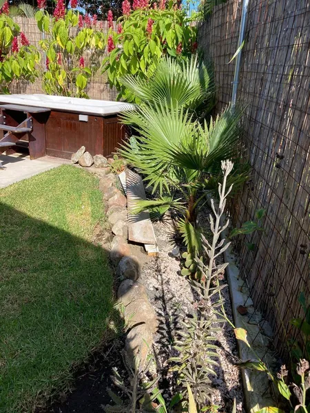 Foto 15