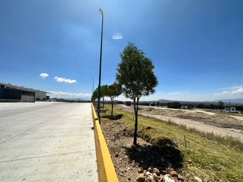 Foto 6