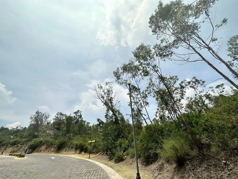 Foto 15