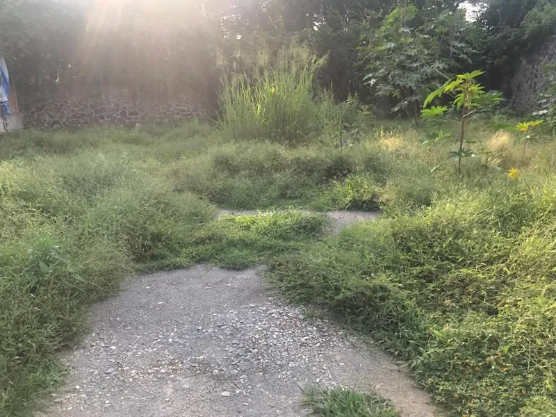 Foto 17