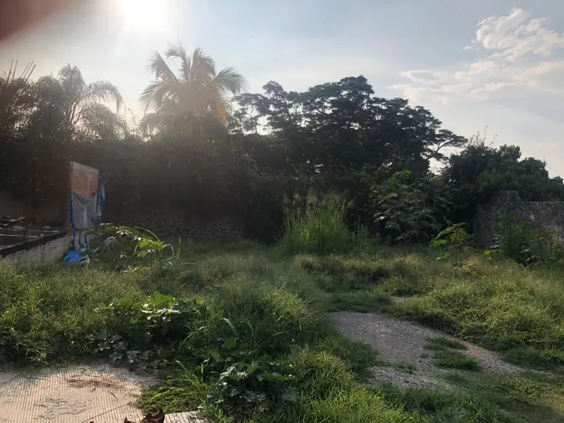 Foto 11