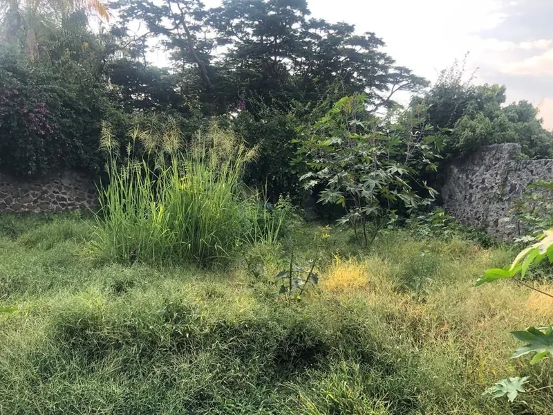 Foto 18