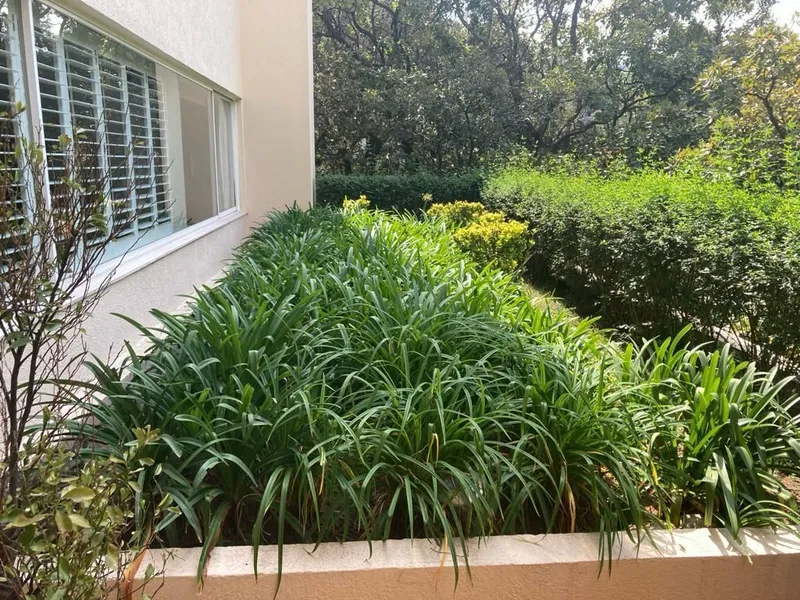 Foto 28
