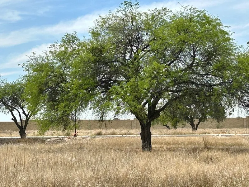 Lote en venta · El Campanario, Santiago de Querétaro, Querétaro