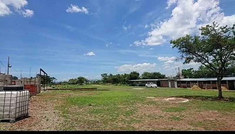 Foto 4