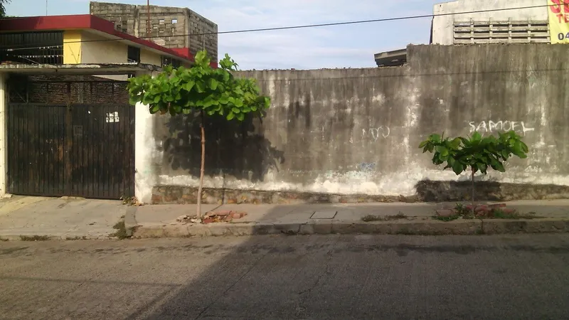 Lote en venta · Carabalí Centro, Acapulco de Juárez, Guerrero