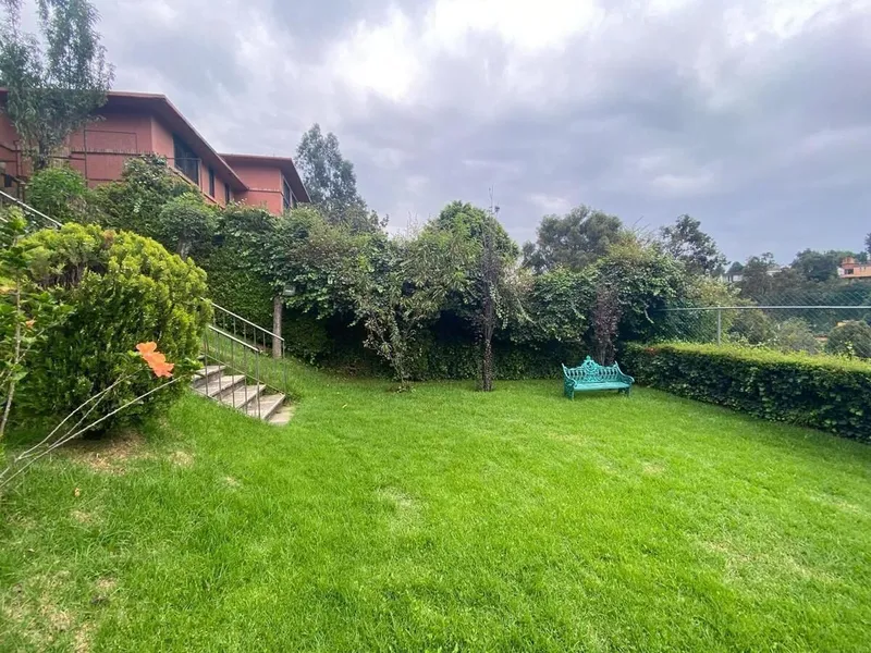 Foto 7