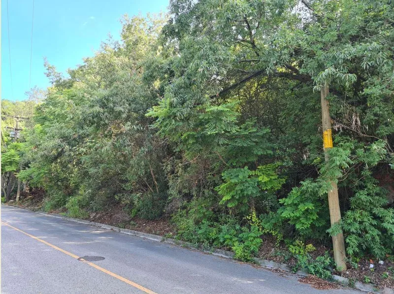Lote en venta · Valle de San Ángel Sect Mexicano, San Pedro Garza García, Nuevo León