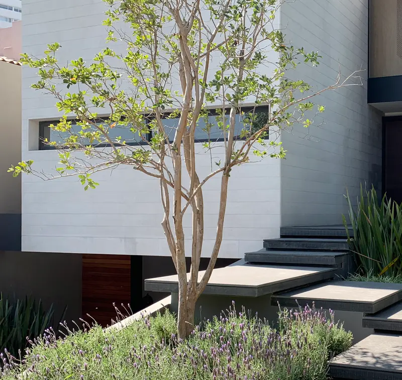 Condominio en venta · San Mateo Tlaltenango, Cuajimalpa de Morelos, Ciudad de México