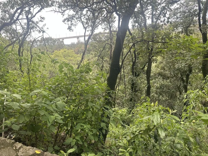 Foto 17