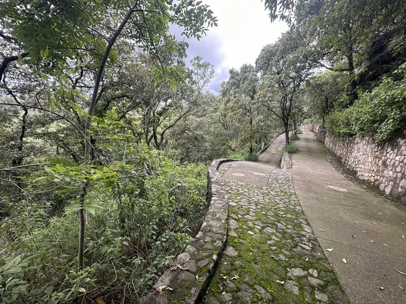 Foto 11