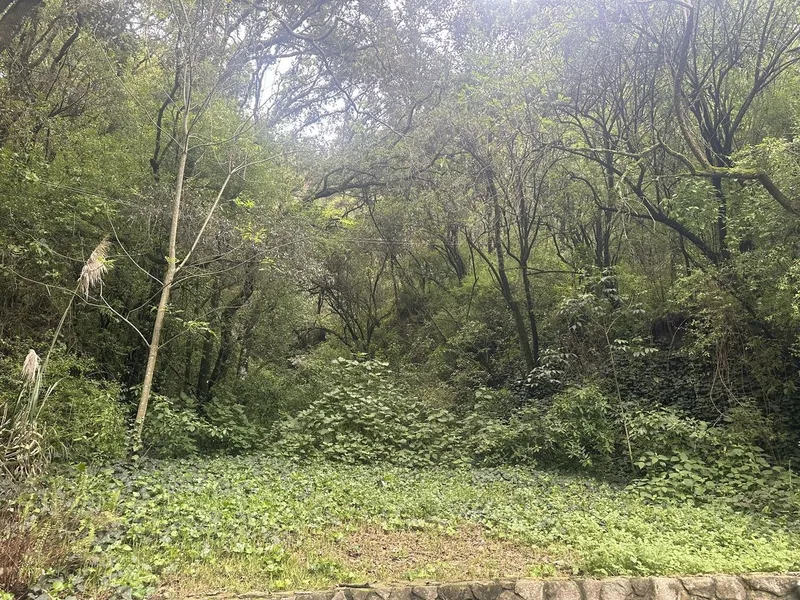 Lote en venta · Contadero, Cuajimalpa de Morelos, Ciudad de México