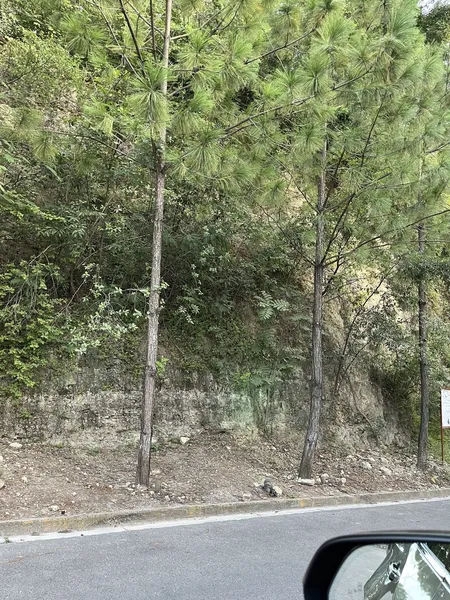 Propiedad en venta · Colinas de San Ángel, San Pedro Garza García, Nuevo León