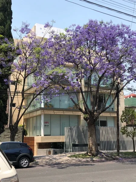 Departamento en venta · Polanco, Miguel Hidalgo, Ciudad de México Departamento en venta · Polanco, Miguel Hidalgo, Ciudad de México